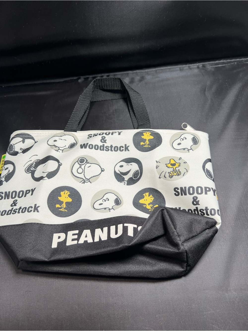 Peanuts Snoopy & Woodstock Mini Tote Bag 8x10 Canvas Tote Cute Character Bag - Picture 2 of 3
